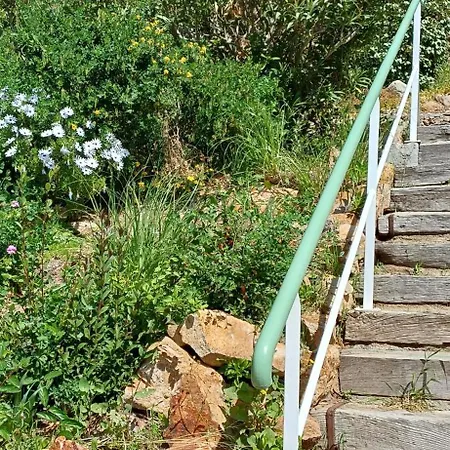 Tous à La Piscine Au Belvedere Vue