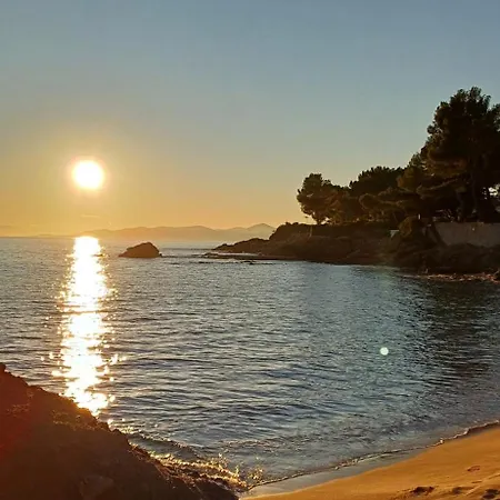 Tous A La Piscine Au Belvedere Vue * Saint-Raphaël