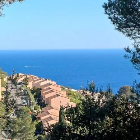 Tous à La Piscine Au Belvedere Vue