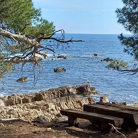 וילה Tous A La Piscine Au Belvedere Vue Saint-Raphaël